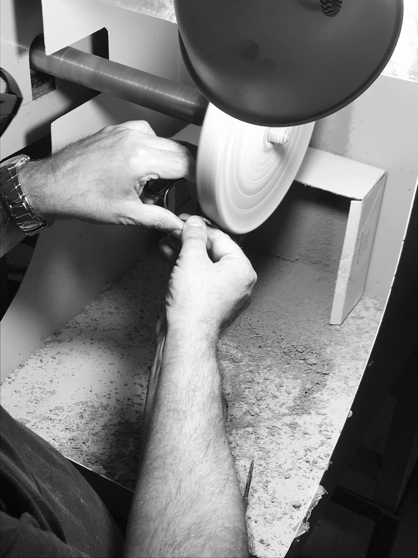 Polishing Manolo.jpg